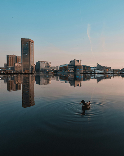 Baltimore