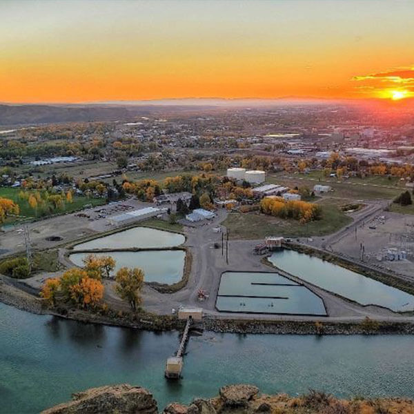 billings